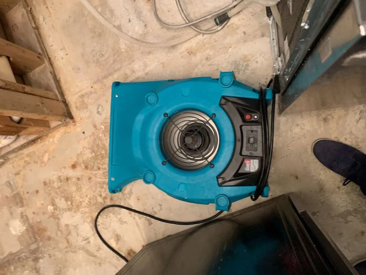 Air mover drying equipment for Mold Remediation & Removal in Greenwich