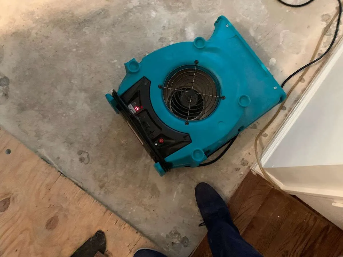 Air mover drying subfloor during Commercial Water Damage Restoration in Greenwich